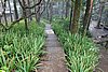 DSC08020.JPG