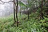 DSC08022.JPG