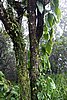 DSC08035.JPG