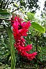 DSC08043.JPG