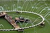 DSC08044.JPG