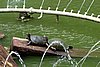 DSC08046.JPG