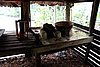 DSC08049.JPG