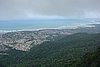 DSC08061.JPG