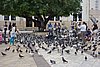 DSC08078.JPG