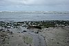 DSC08092.JPG