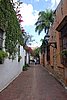 DSC08246.JPG