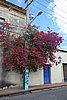 DSC08256.JPG