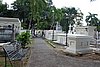 DSC08287.JPG
