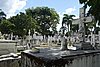 DSC08288.JPG