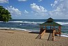 DSC08318.JPG