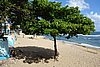 DSC08319.JPG