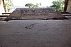 DSC08339.JPG