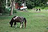 DSC08367.JPG