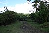 DSC08371.JPG
