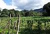 DSC08372.JPG