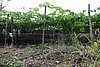 DSC08373.JPG