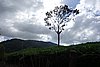 DSC08374.JPG