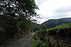 DSC08376.JPG