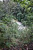 DSC08379.JPG