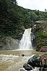 DSC08387.JPG