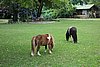 DSC08392.JPG