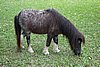 DSC08395.JPG