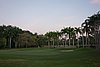DSC08404.JPG
