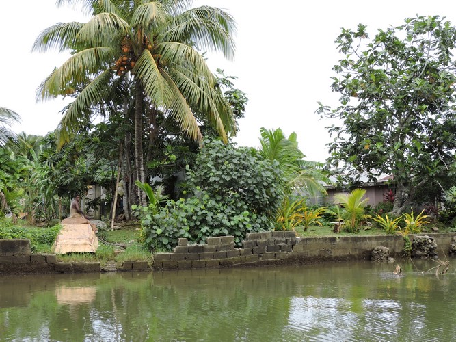 DSCN2898.JPG