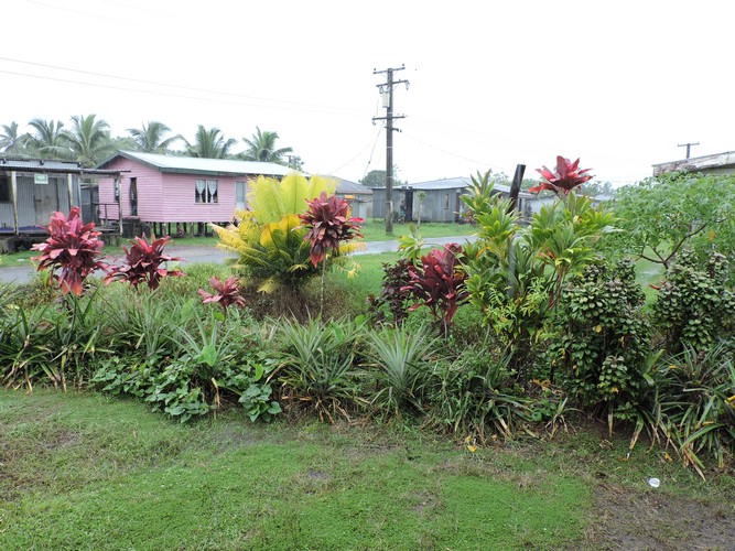 DSCN2912.JPG