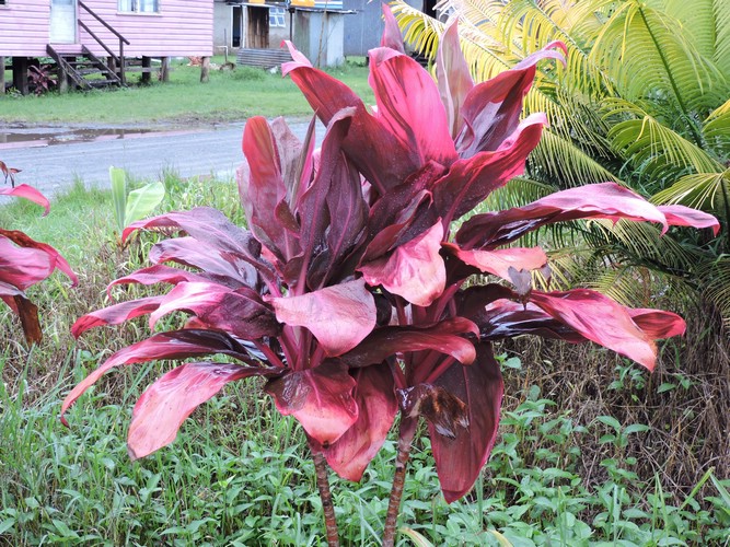 DSCN2916.JPG