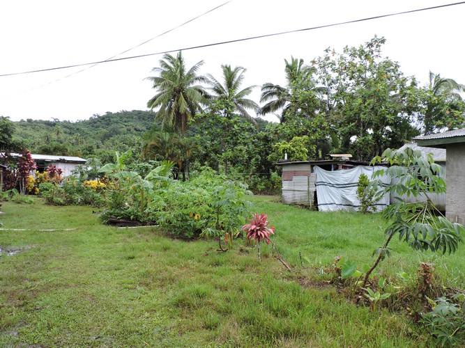 DSCN2917.JPG