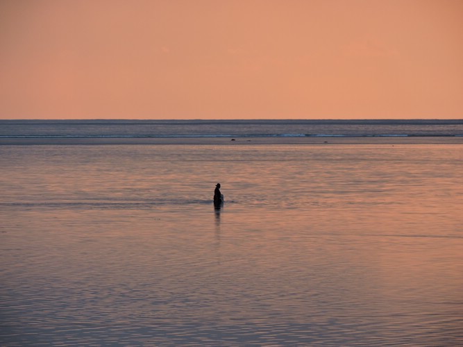 DSCN2919.JPG