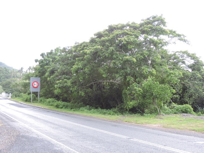 DSCN2924.JPG
