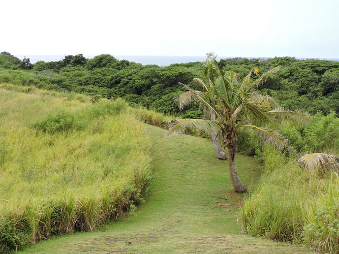 DSCN2930.JPG