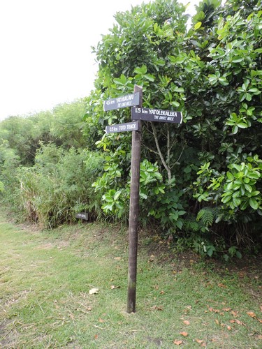 DSCN2931.JPG