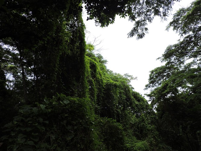 DSCN2937.JPG