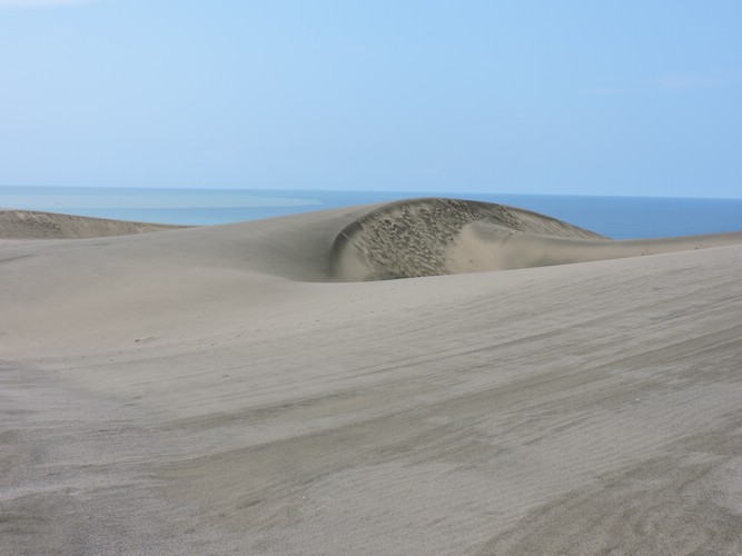 DSCN2950.JPG