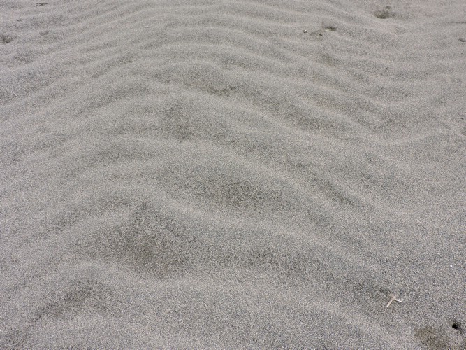 DSCN2951.JPG