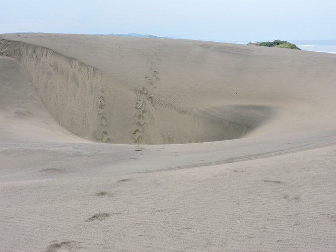 DSCN2952.JPG