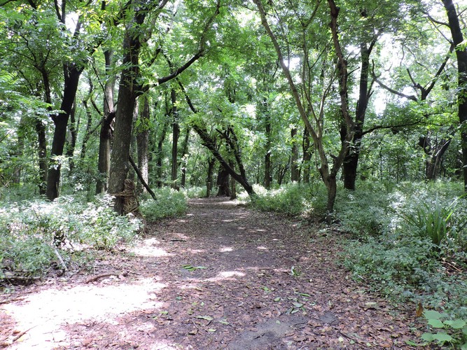 DSCN2968.JPG