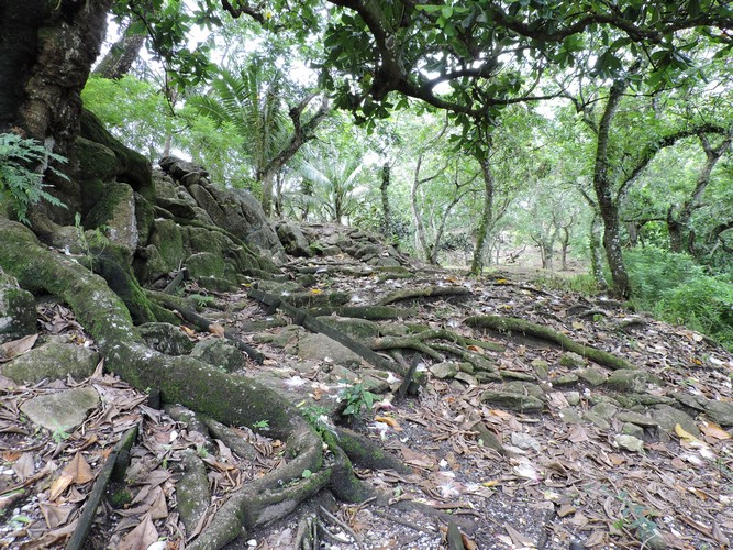 DSCN2980.JPG