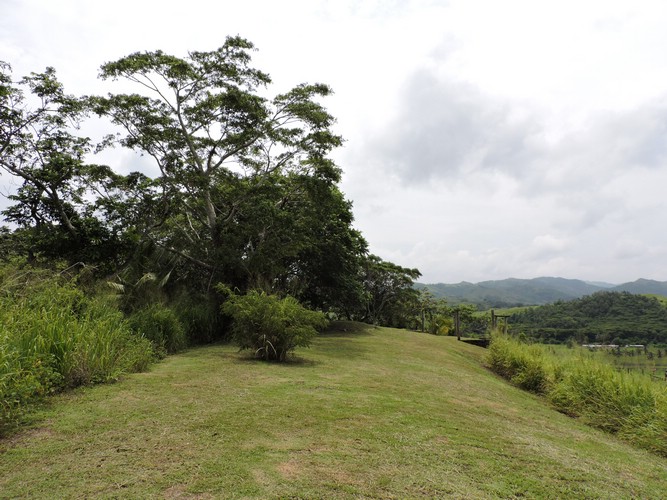 DSCN2987.JPG