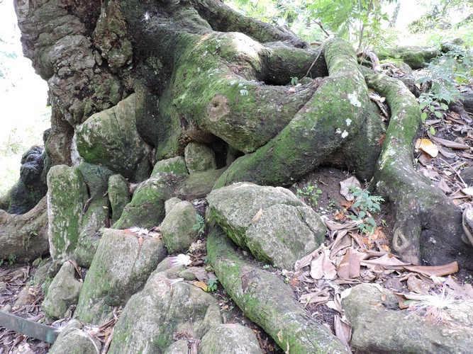 DSCN3004.JPG