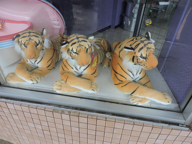 DSCN3017.JPG