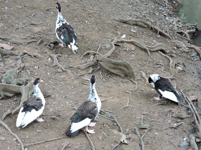 DSCN3051.JPG