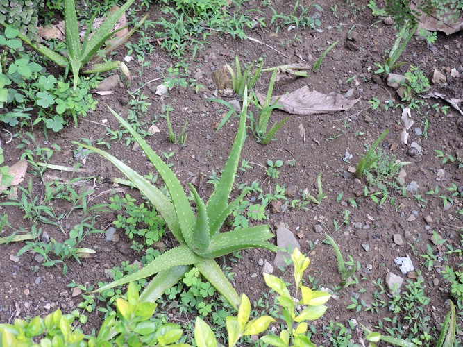 DSCN3057.JPG