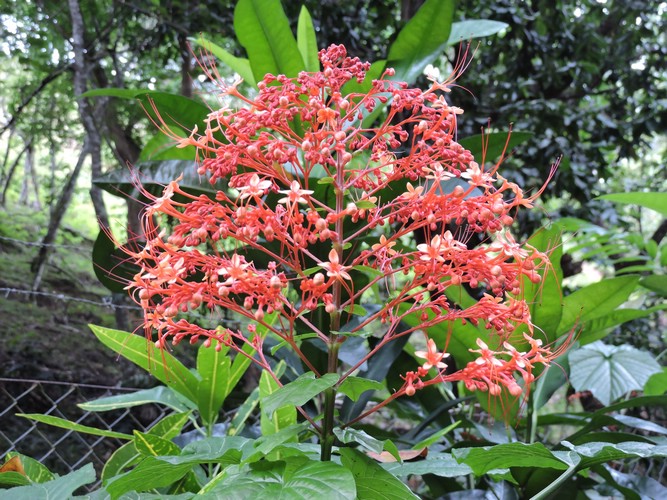 DSCN3058.JPG