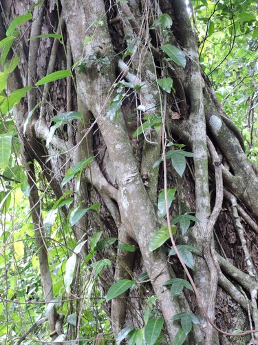 DSCN3062.JPG