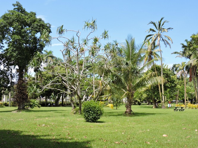 DSCN3118.JPG